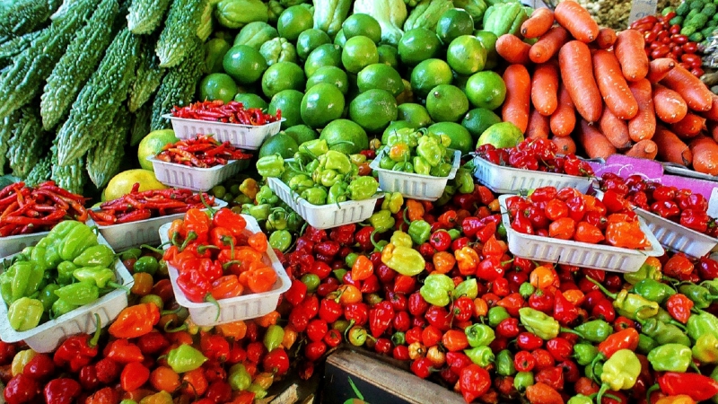 primeur-GRIMAUD-min_farmers-market-1329008