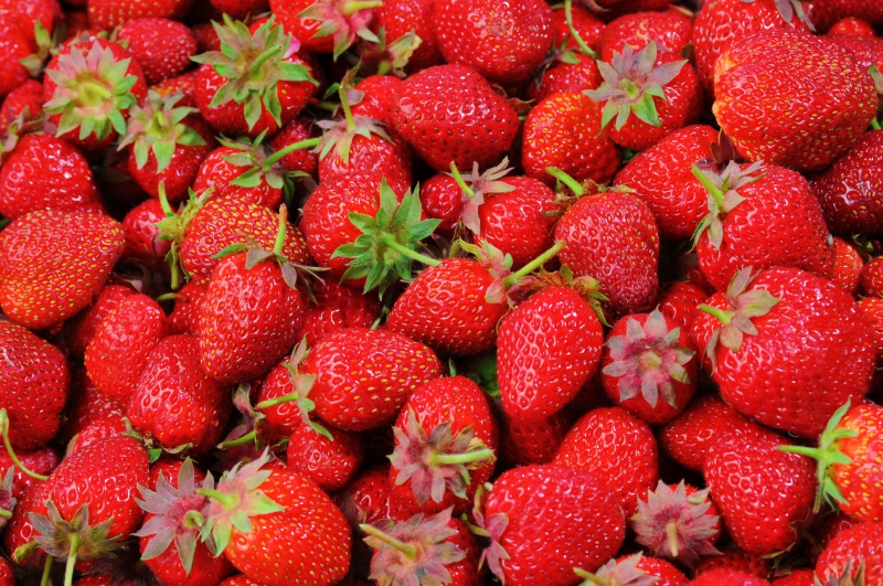 primeur-GRIMAUD-min_strawberries-528791